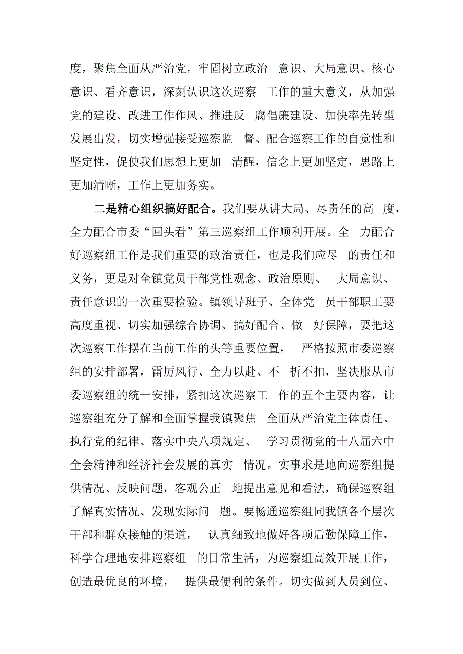 在市委“回头看”第三巡察组的表态发言.docx_第2页