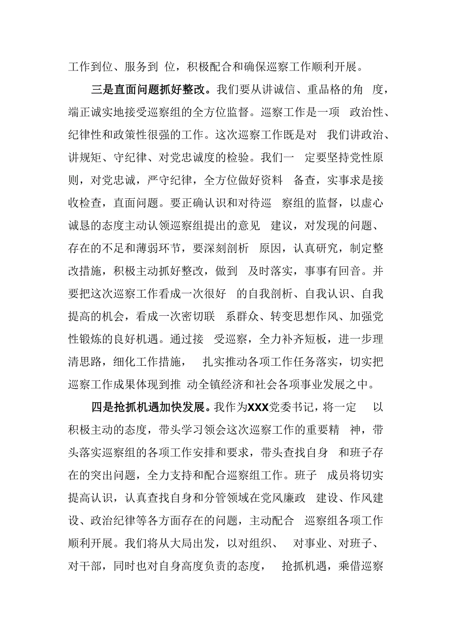 在市委“回头看”第三巡察组的表态发言.docx_第3页