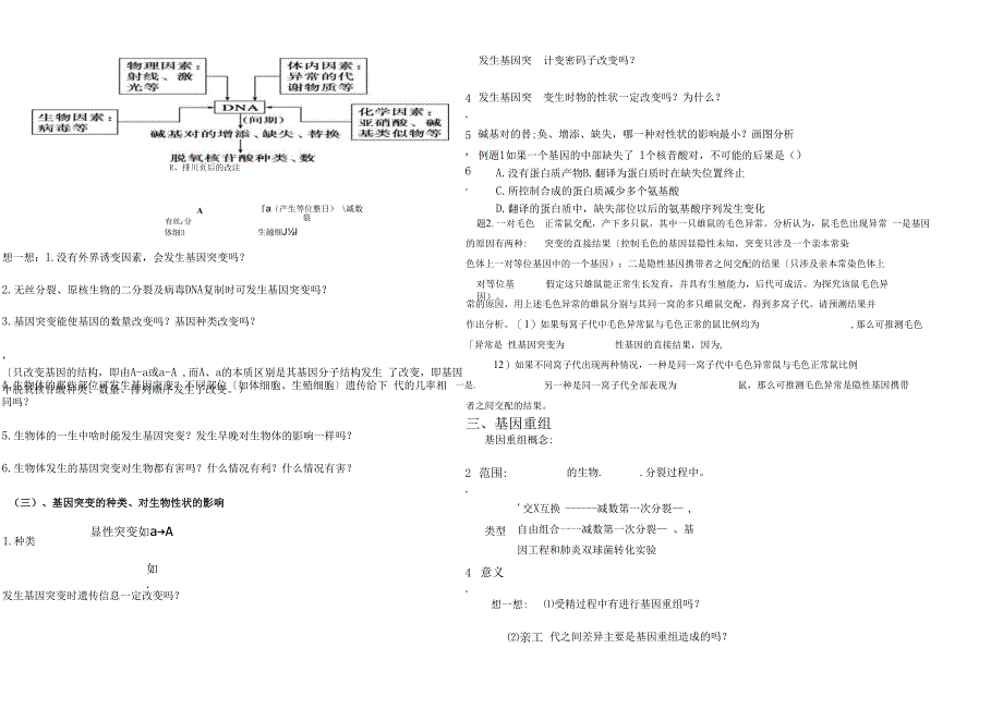 基因突变、基因重组导学提纲1.docx_第3页