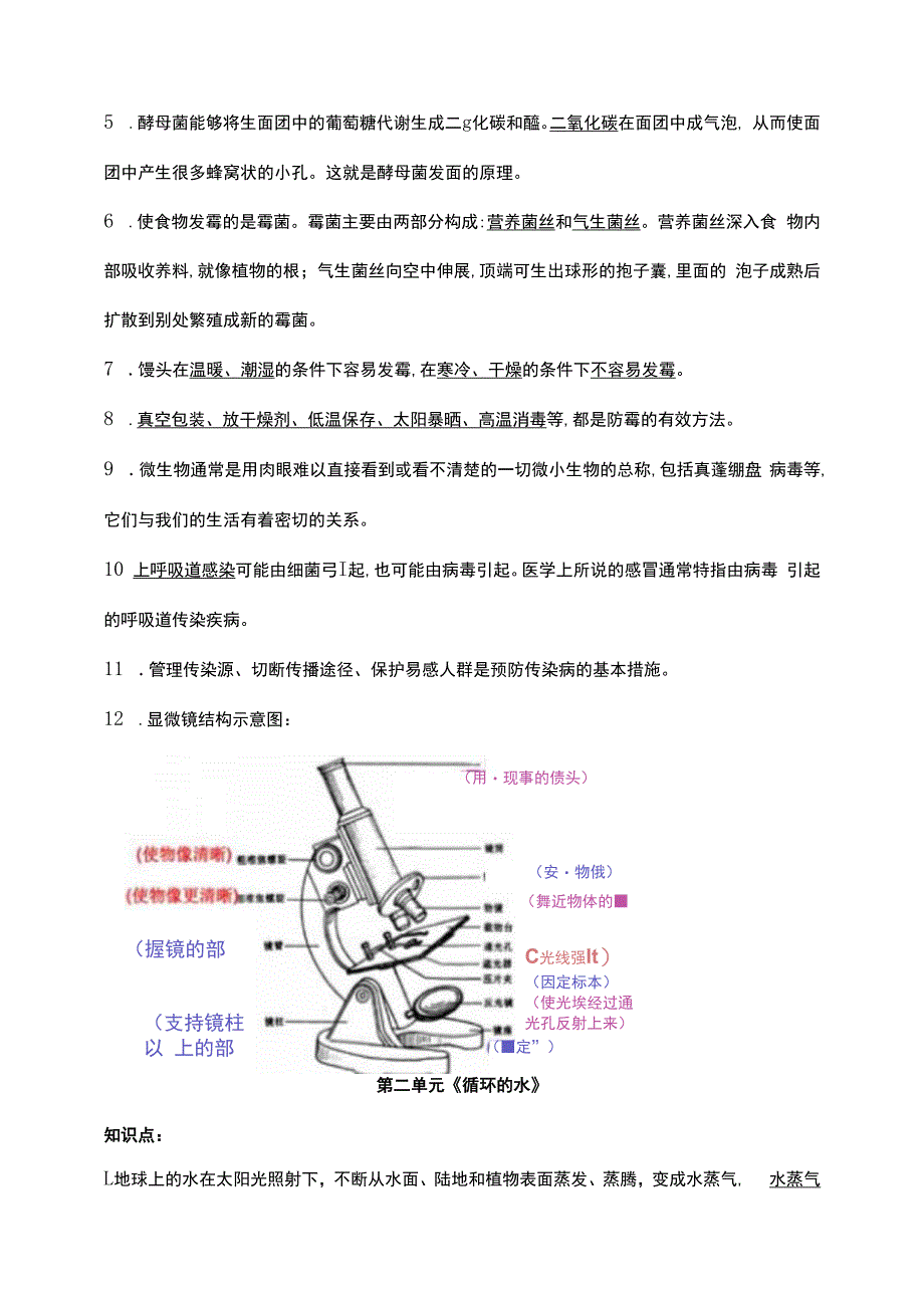 （新大象版）科学六年级上册全册知识点总结.docx_第2页