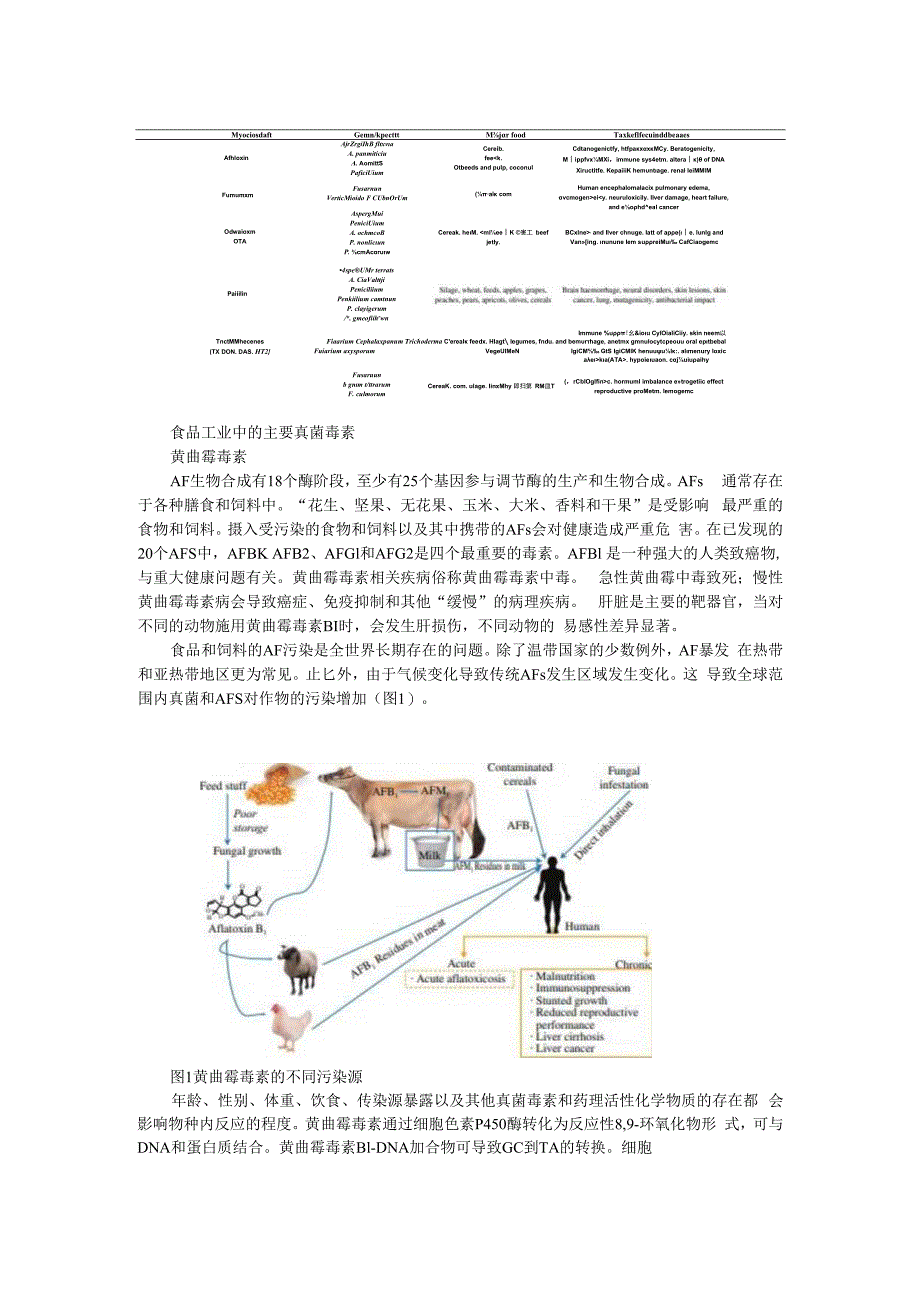 食物中真菌毒素的危害及预防和检测.docx_第3页