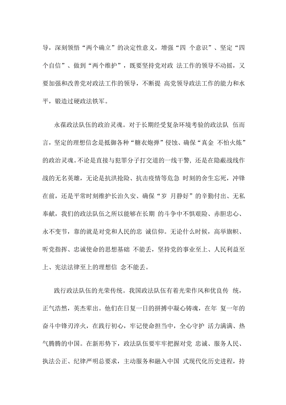 贯彻落实中央政法工作会议精神心得体会.docx_第2页