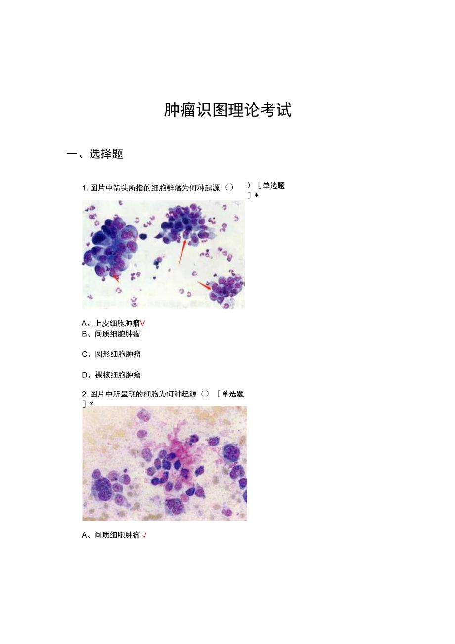 肿瘤识图理论专项考试试题及答案.docx_第1页