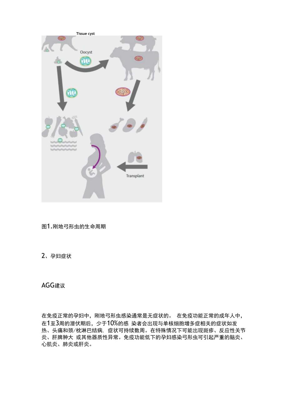 2024孕妇感染弓形虫在妊娠期感染的治疗最新指南.docx_第2页