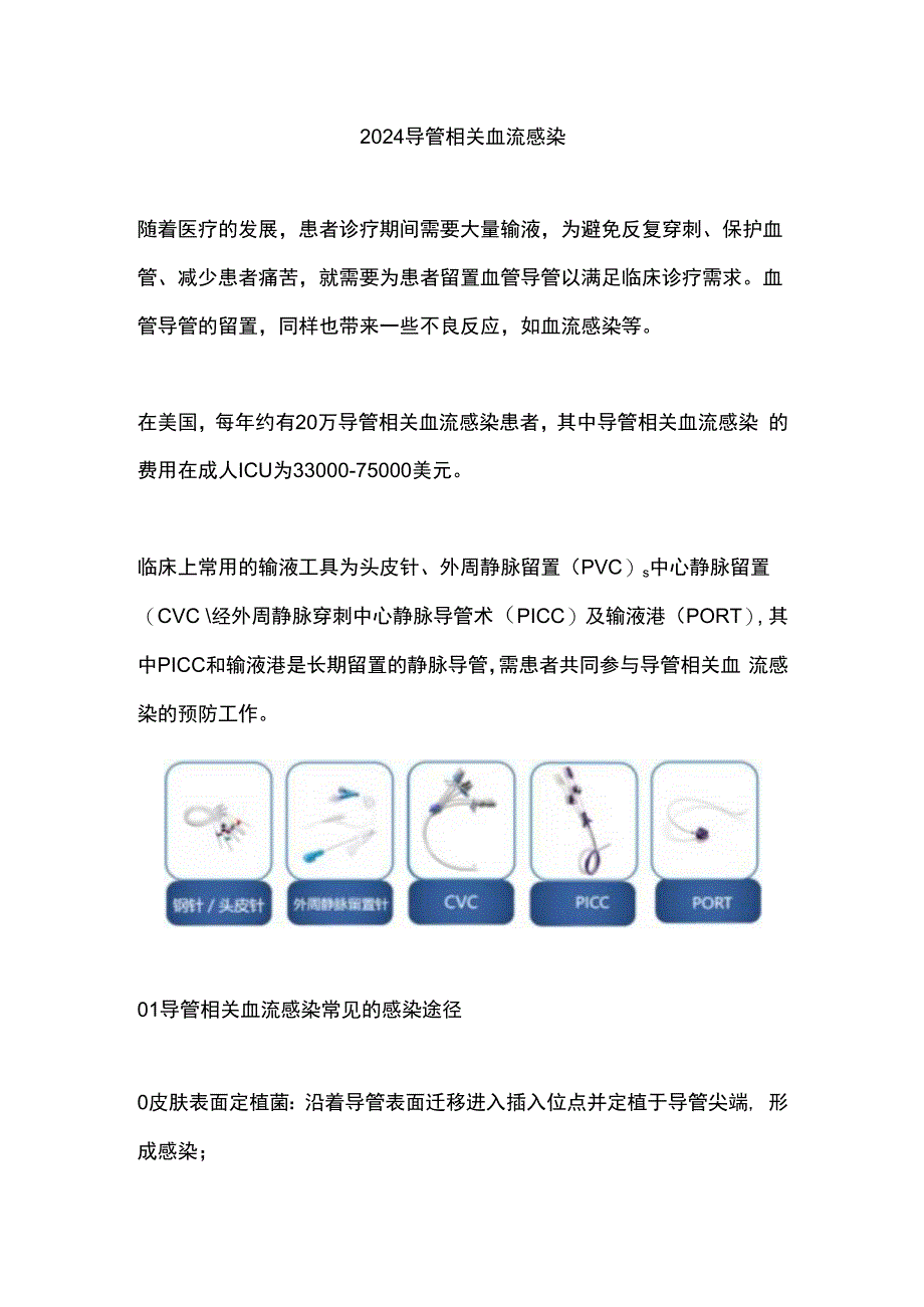 2024导管相关血流感染.docx_第1页