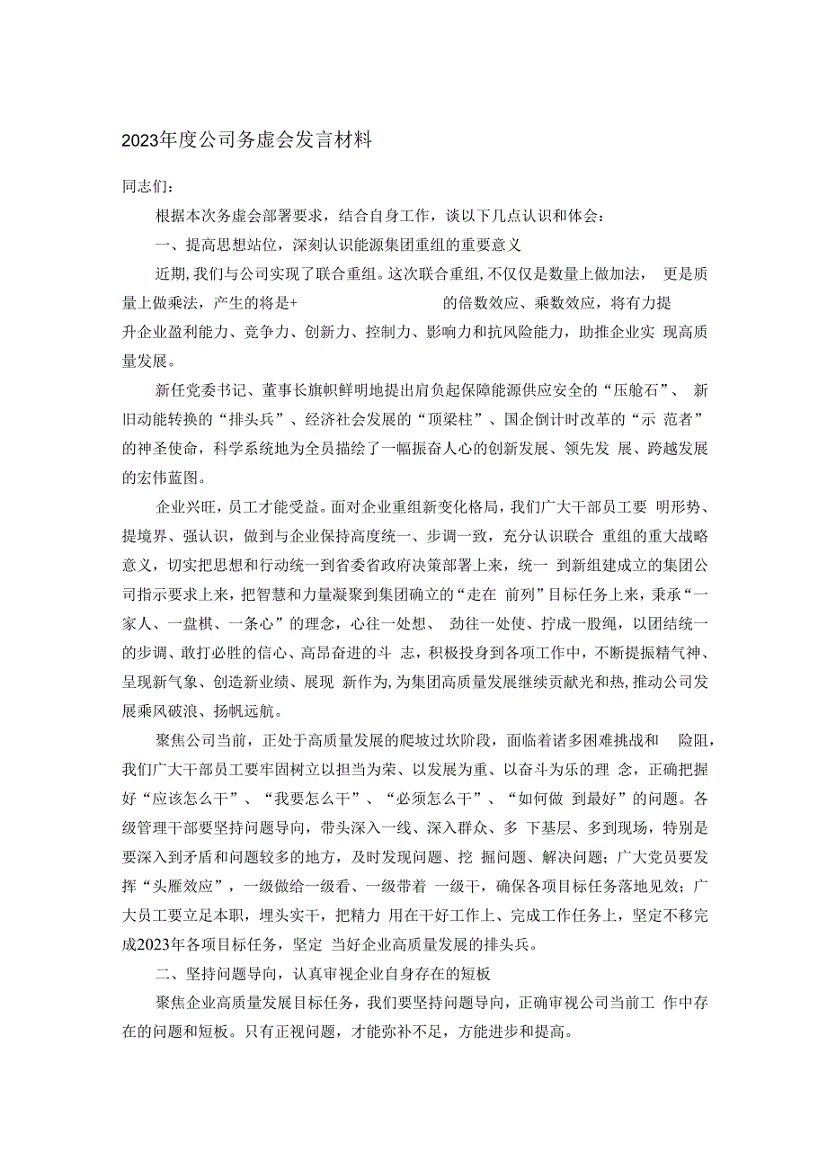 2023年度公司务虚会发言材料.docx_第1页