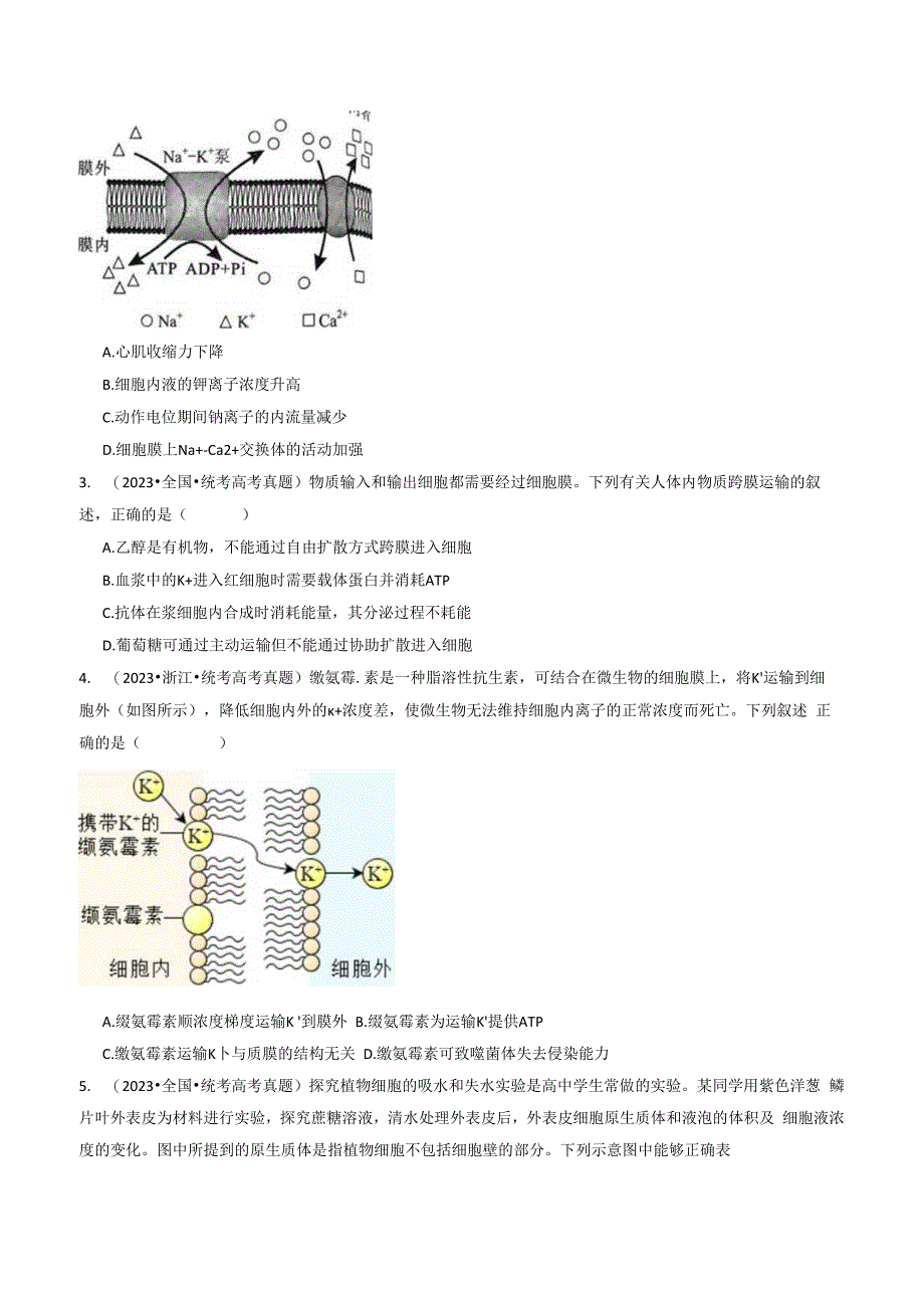 专题03 物质运输（原卷版）.docx_第2页