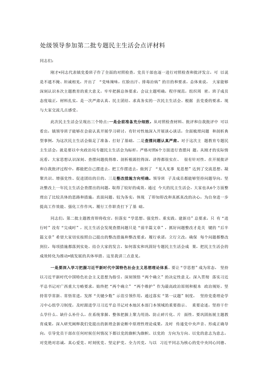 处级领导参加第二批专题民主生活会点评材料.docx_第1页