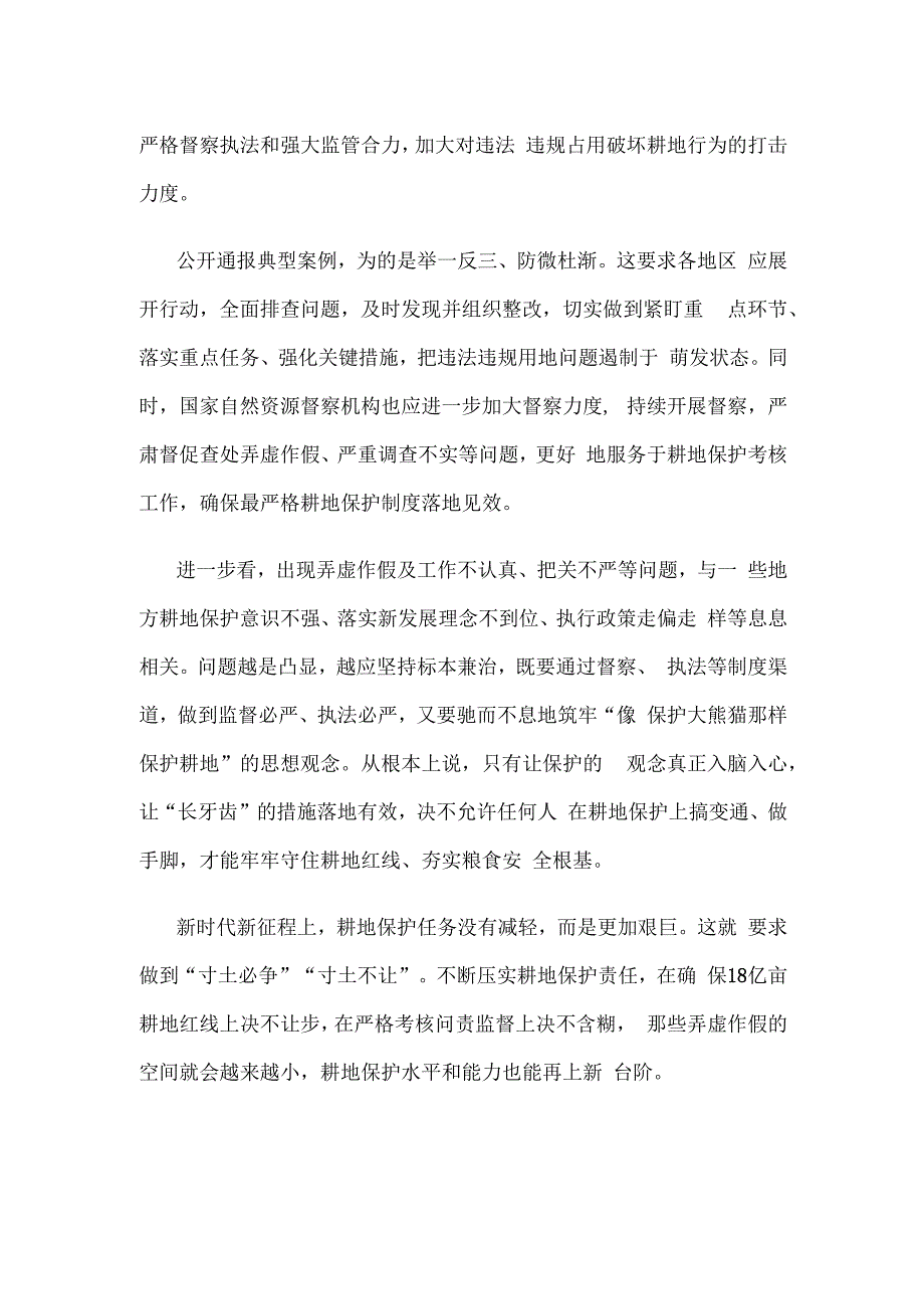 学习领会16个耕地调查问题典型案例心得体会发言.docx_第2页