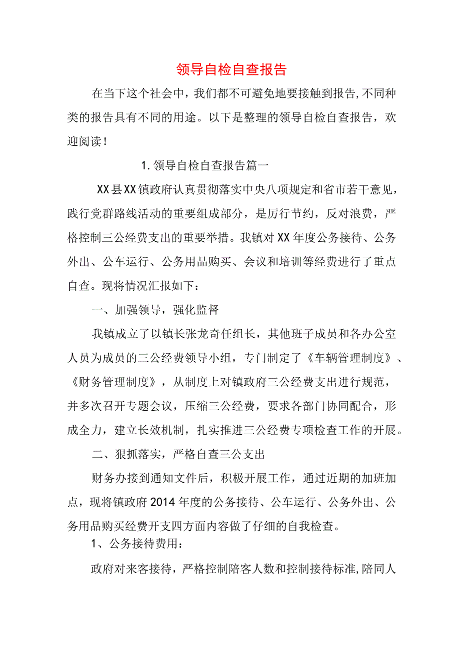 领导自检自查报告.docx_第1页