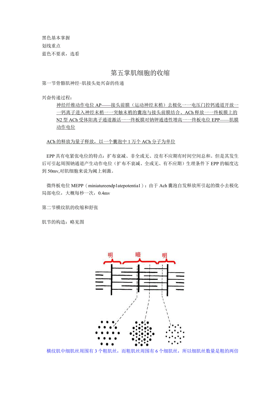 生理学学习资料：第5课肌细胞.docx_第1页