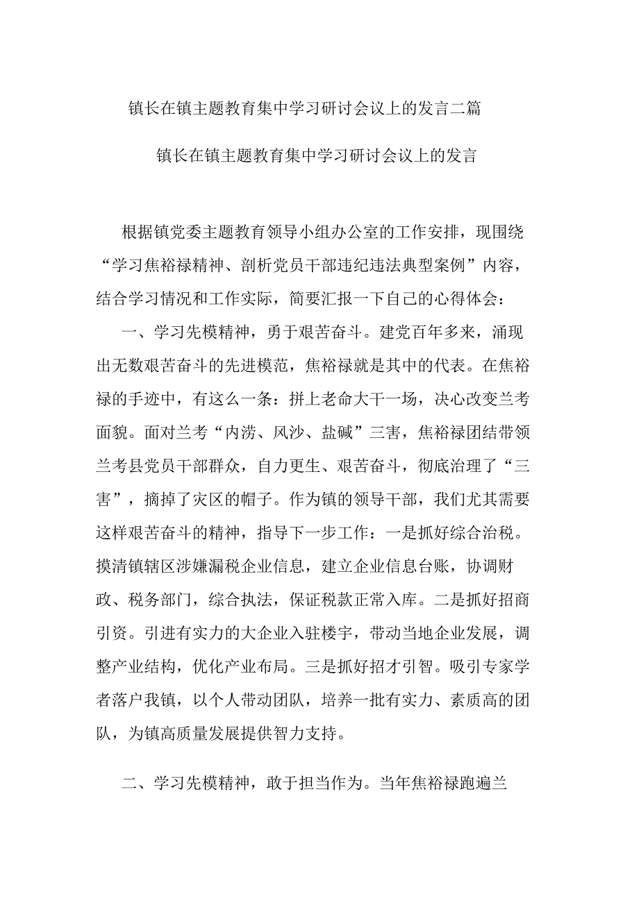 镇长在镇主题教育集中学习研讨会议上的发言二篇.docx_第1页