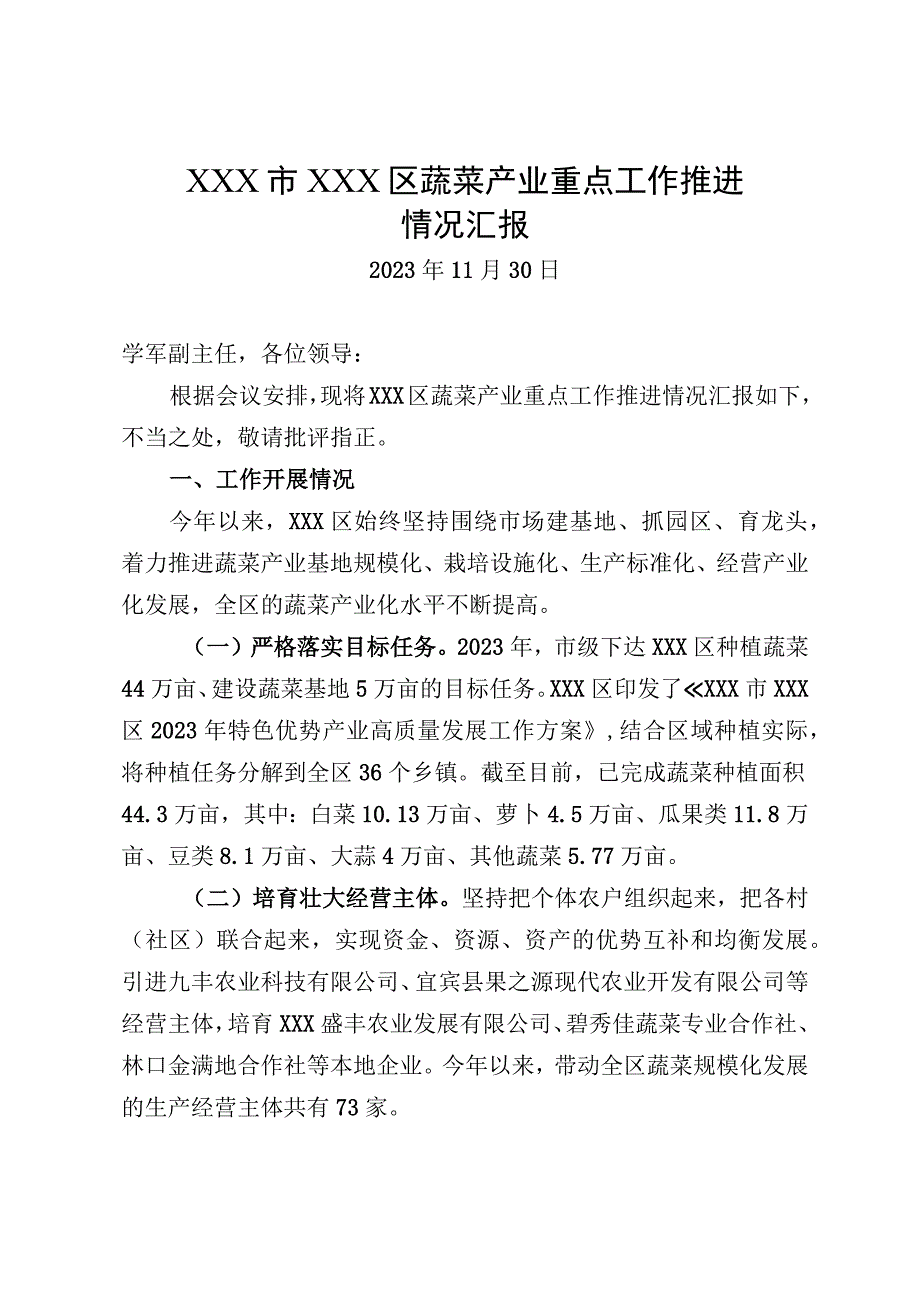 蔬菜产业重点工作推进情况汇报.docx_第1页