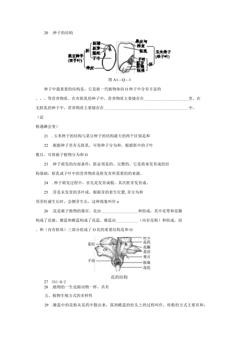 第1章 代代相传的生命 提纲填空（素材 无答案）.docx_第3页