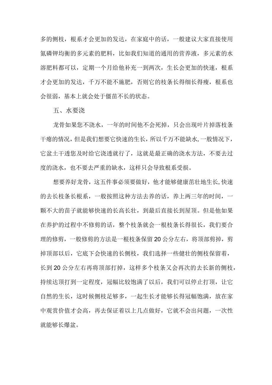 龙骨栽培方法.docx_第2页