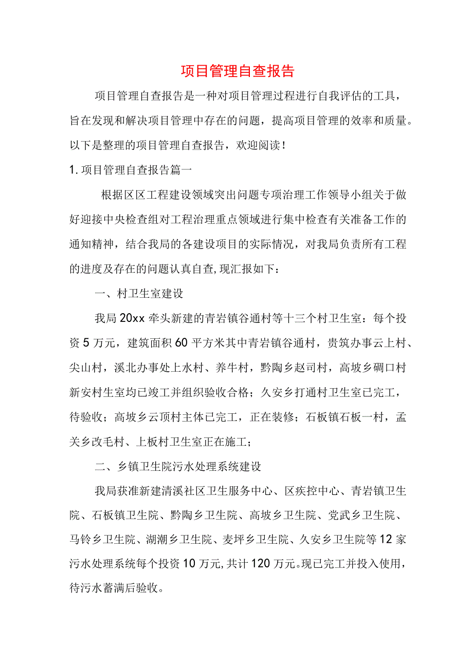 项目管理自查报告.docx_第1页