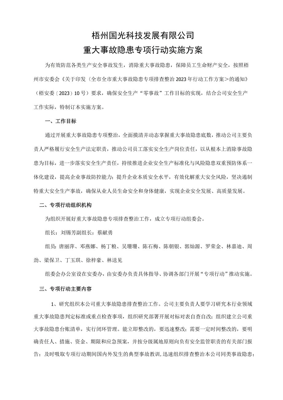 重大事故隐患专项行动实施方案模板.docx_第1页