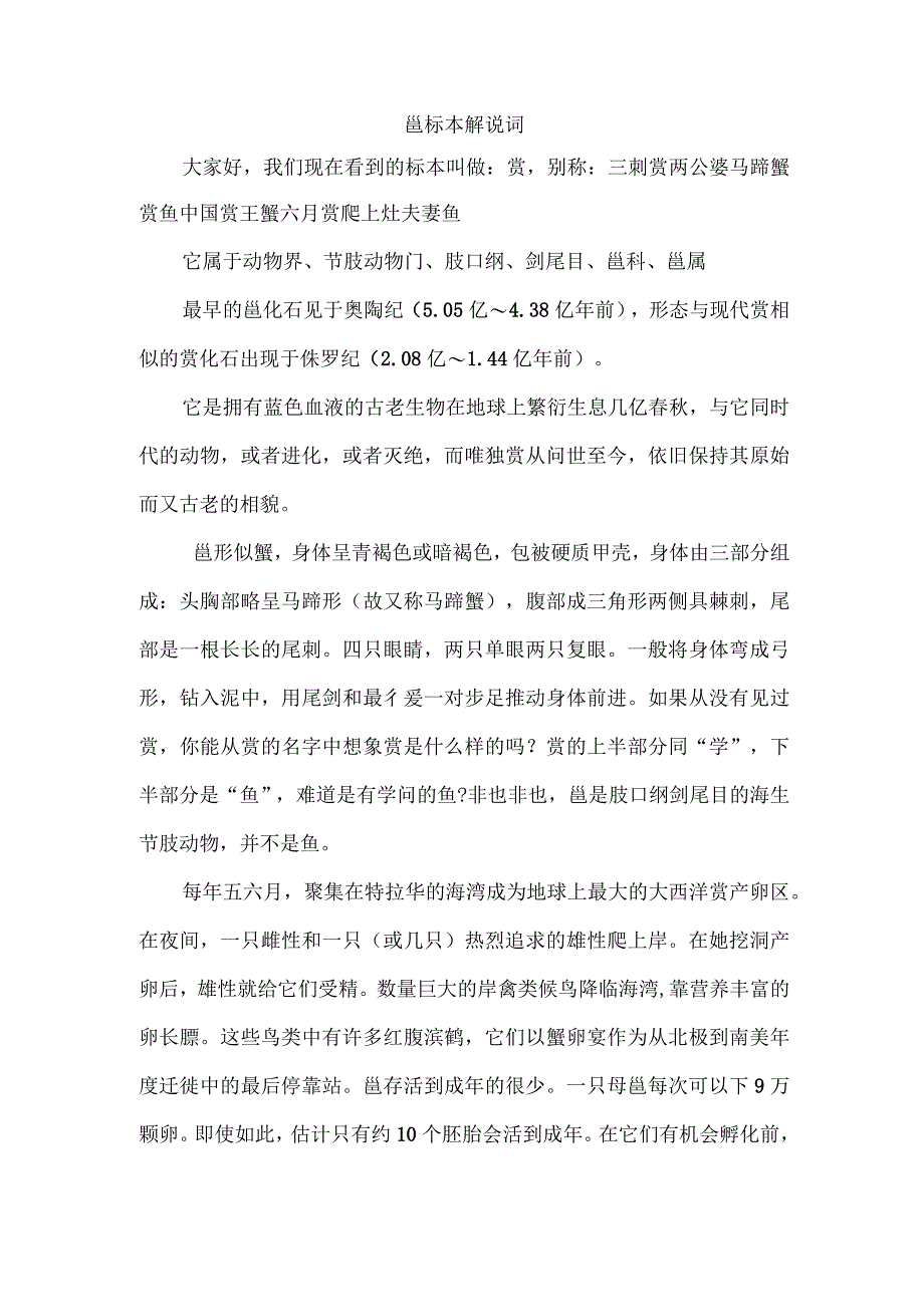 鲎标本解说词.docx_第1页