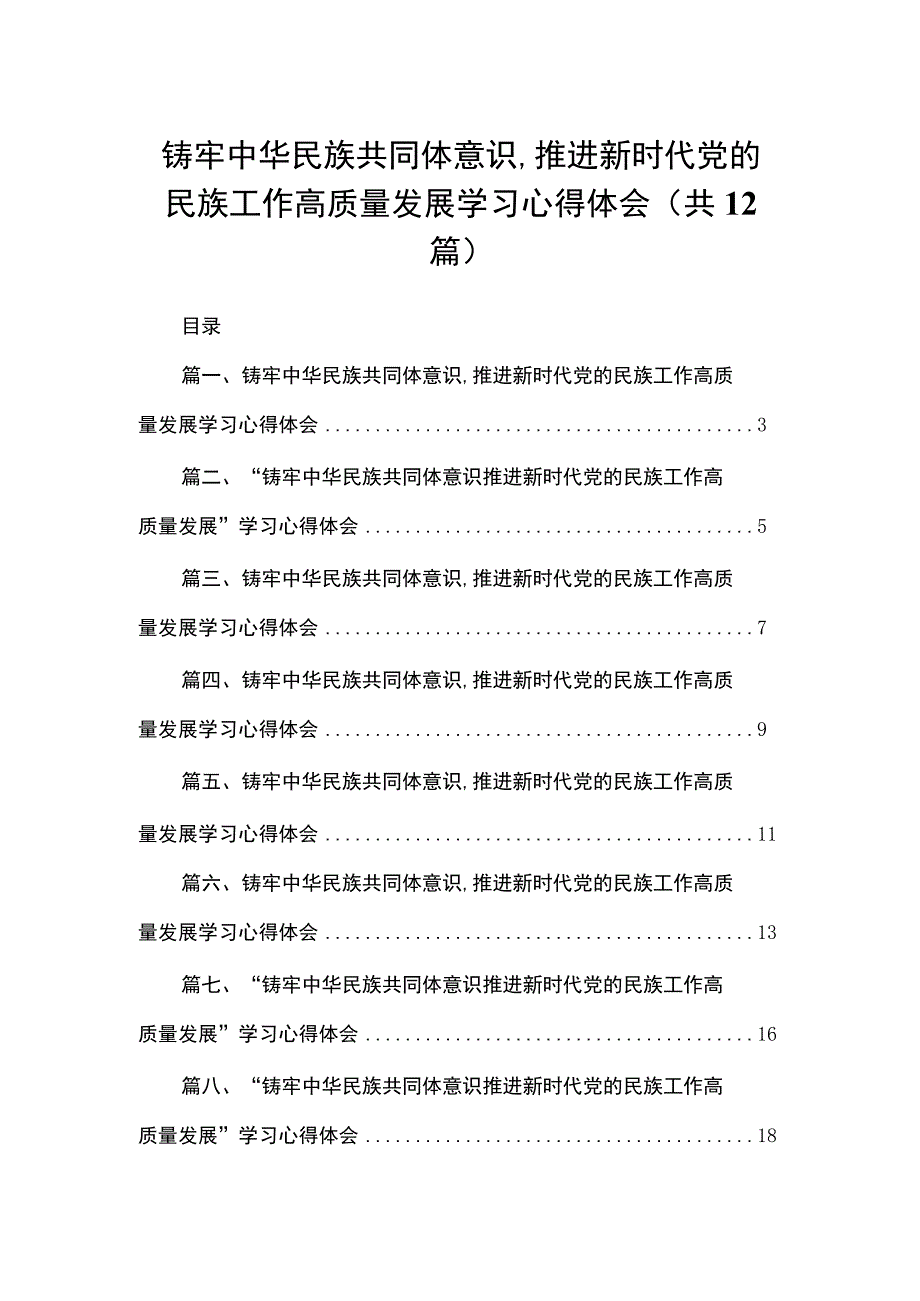 铸牢中华民族共同体意识,推进新时代党的民族工作高质量发展学习心得体会范文12篇供参考.docx_第1页