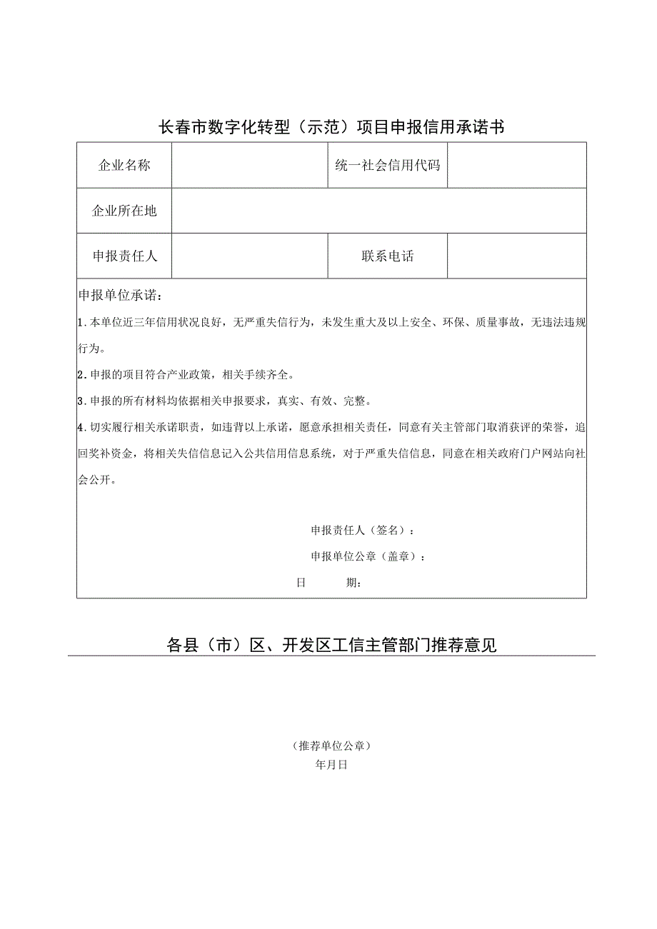 长春市数字化转型示范项目申报书.docx_第3页