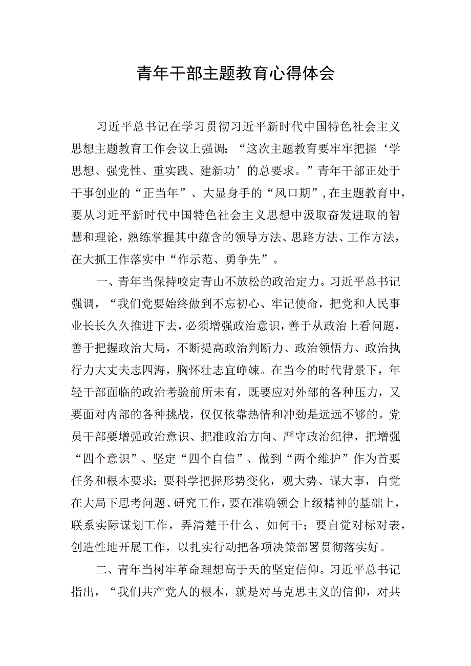 青年干部主题教育心得体会.docx_第1页