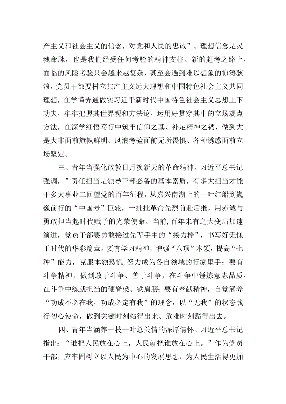 青年干部主题教育心得体会.docx_第2页