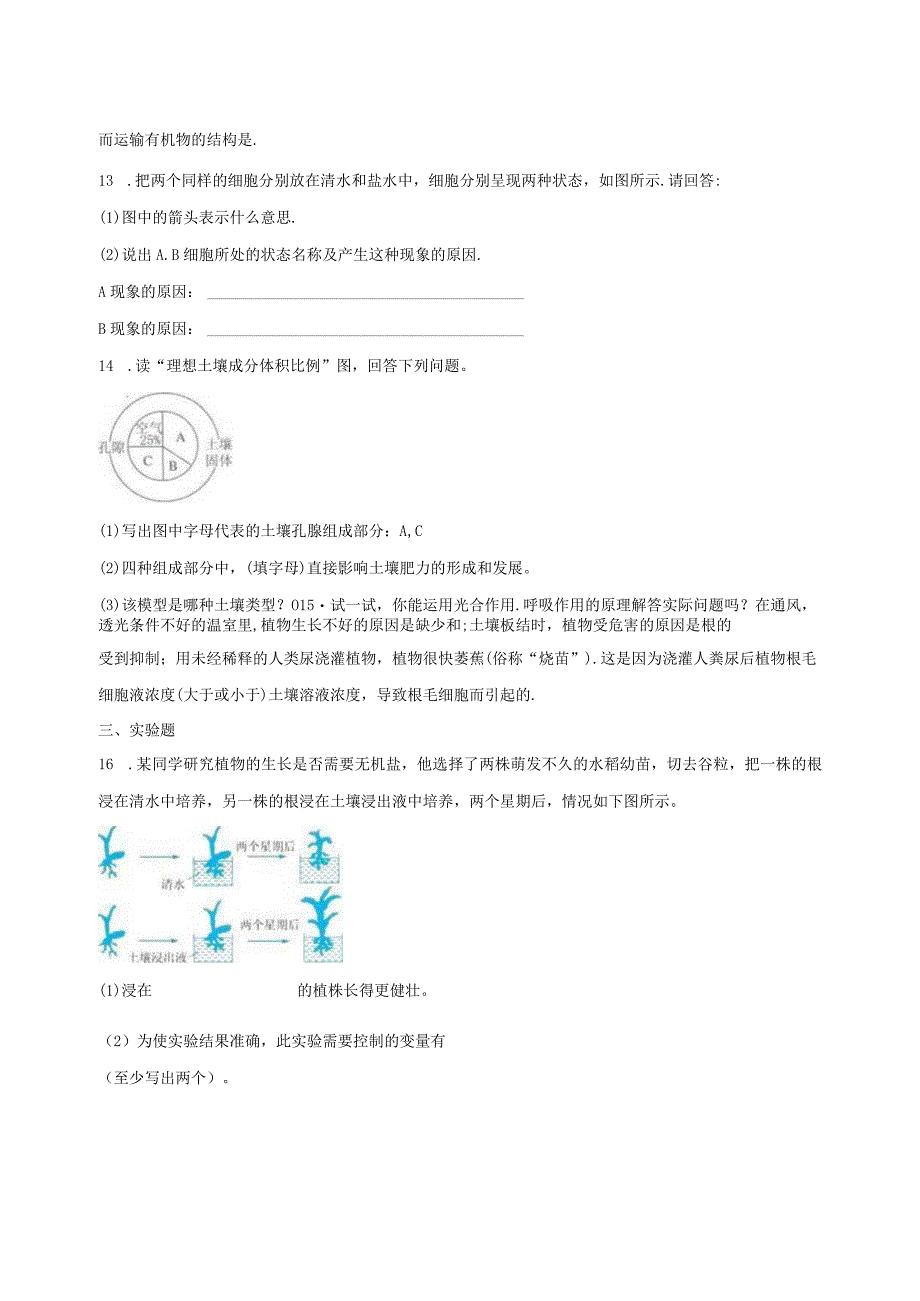 第4章 植物与土壤（4.1-4.3）综合训练（含解析）.docx_第3页