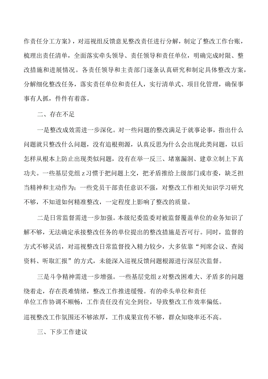 落实整改情况日常监督工作总结.docx_第2页