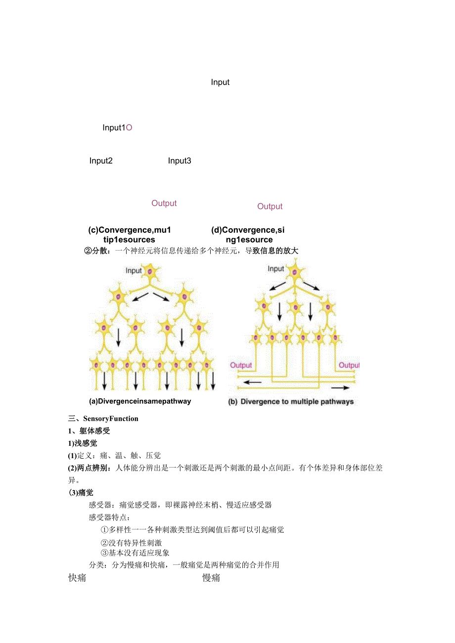 生理学学习资料：高雪神经三 感受通路.docx_第2页