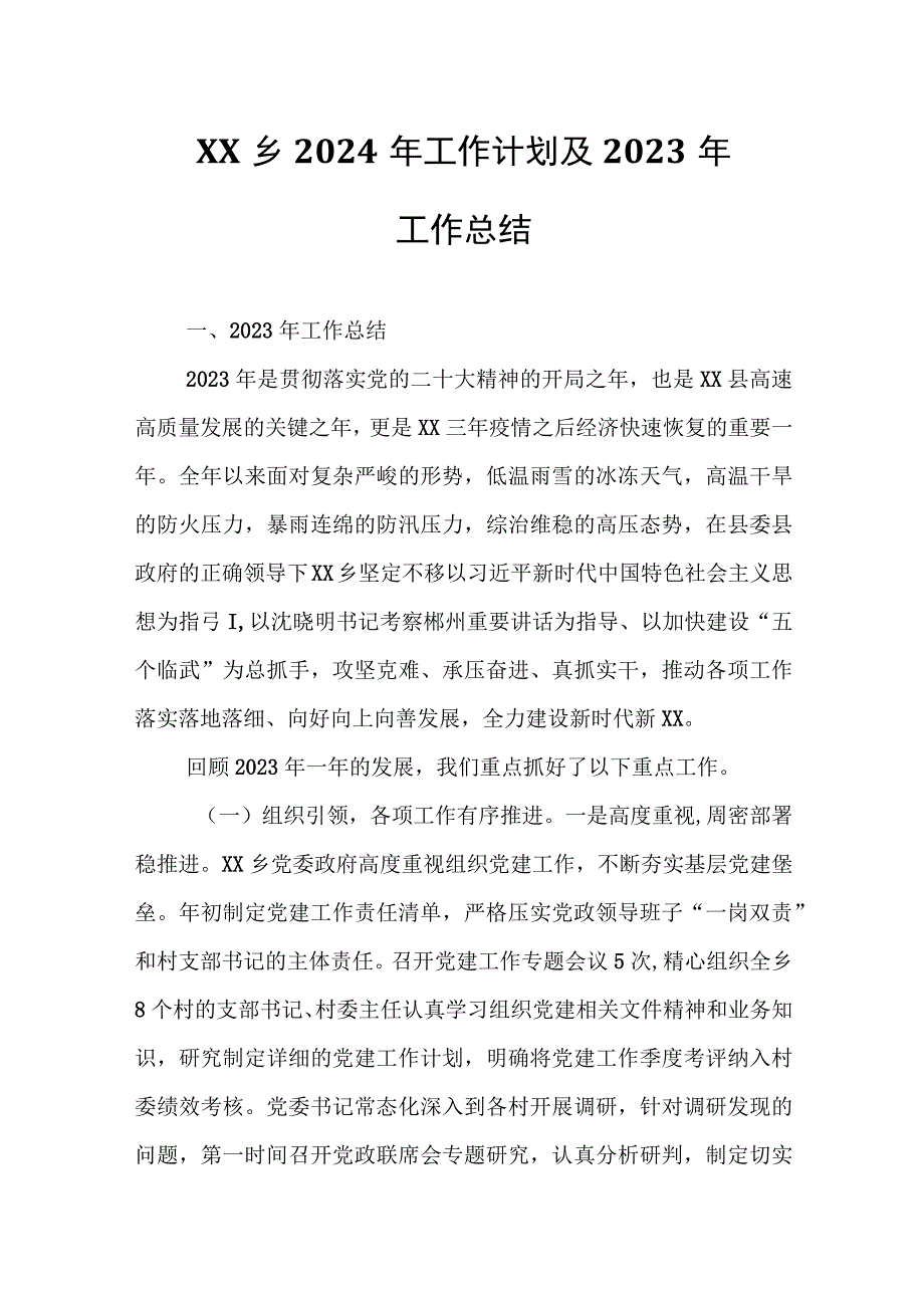 XX乡2024年工作计划及2023年工作总结.docx_第1页