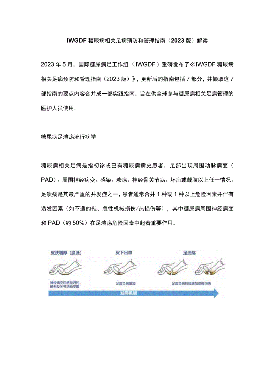 IWGDF糖尿病相关足病预防和管理指南（2023版）解读.docx_第1页