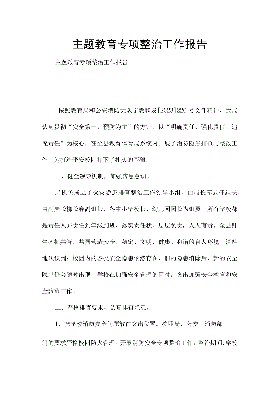 主题教育专项整治工作报告.docx_第1页