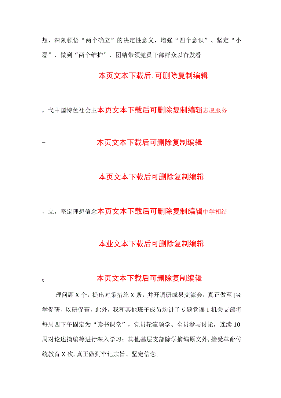 关于党支部书记抓基层党建工作述职报告.docx_第2页