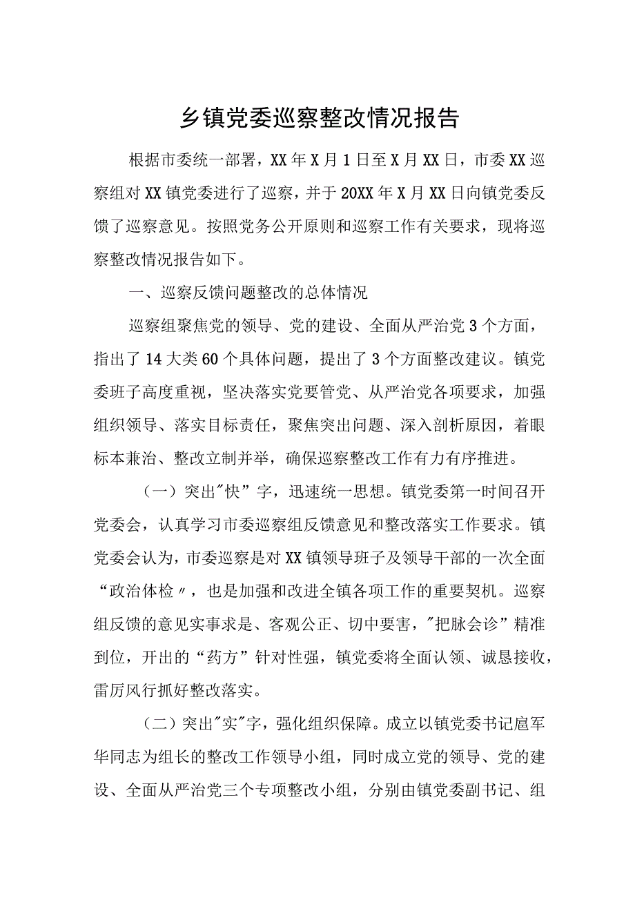 乡镇党委巡察整改情况报告.docx_第1页