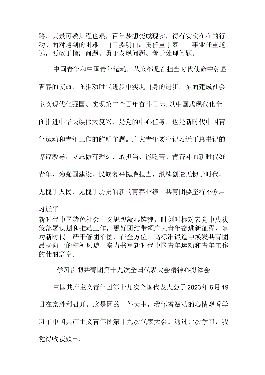 民营单位学习贯彻共青团第十九次全国代表大会精神个人心得体会 5份.docx_第3页