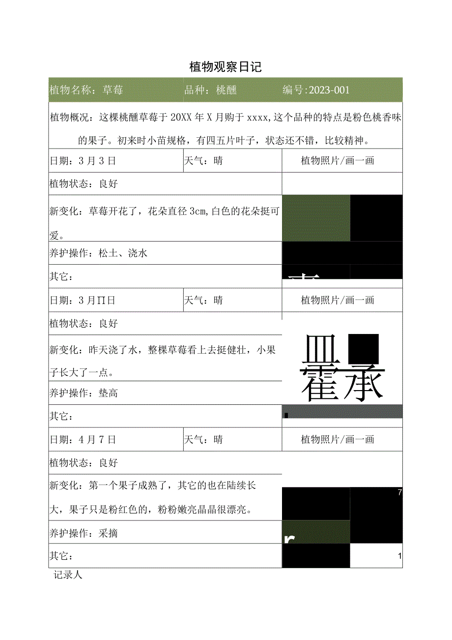 植物观察日记记录.docx_第1页