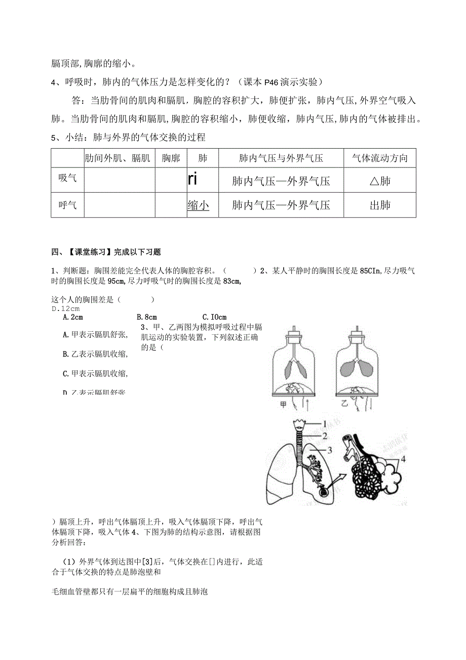 第十章第三节《人体与外界环境的气体交换》.docx_第2页