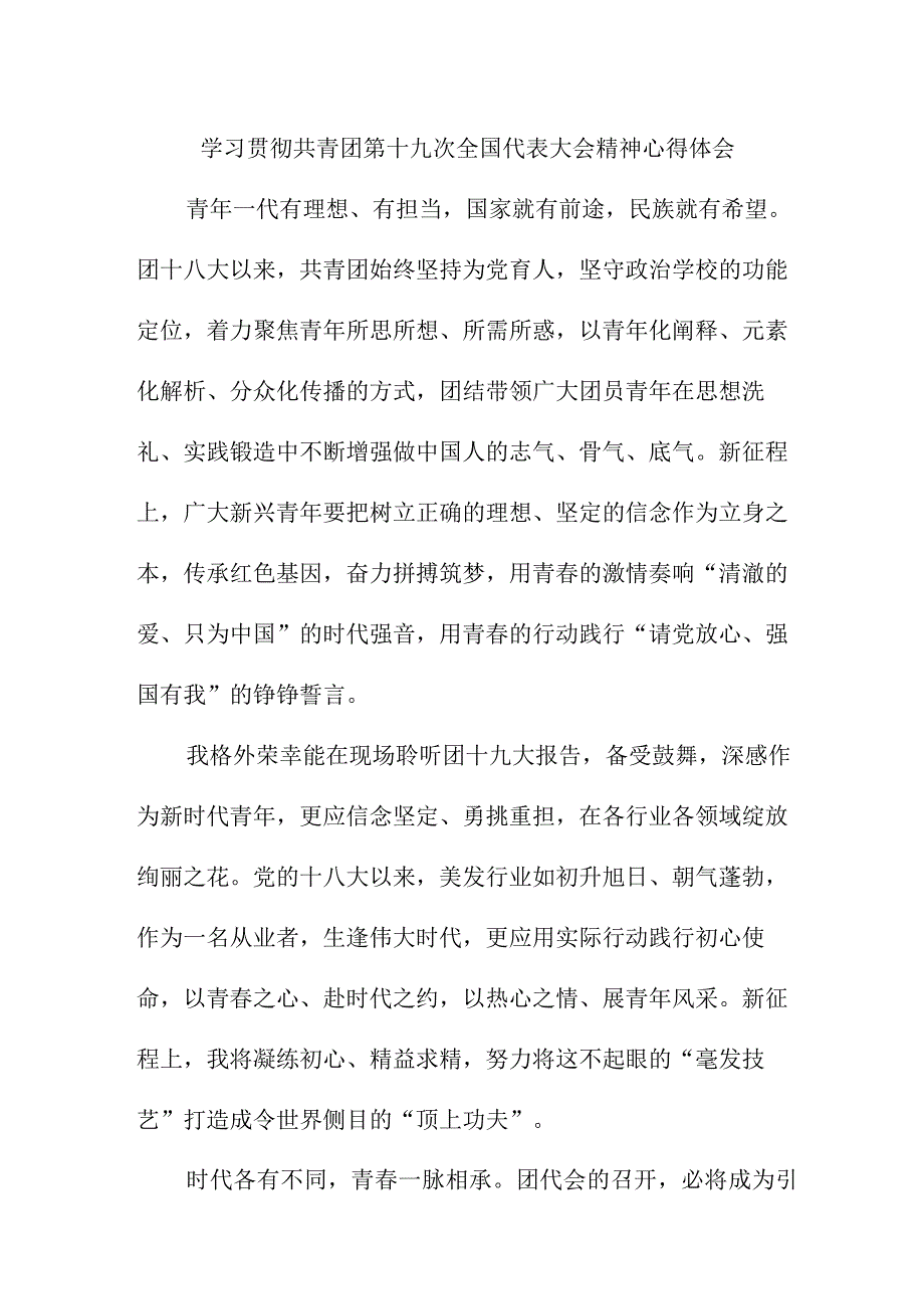 研究生学习贯彻共青团第十九次全国代表大会精神个人心得体会 合计4份.docx_第1页