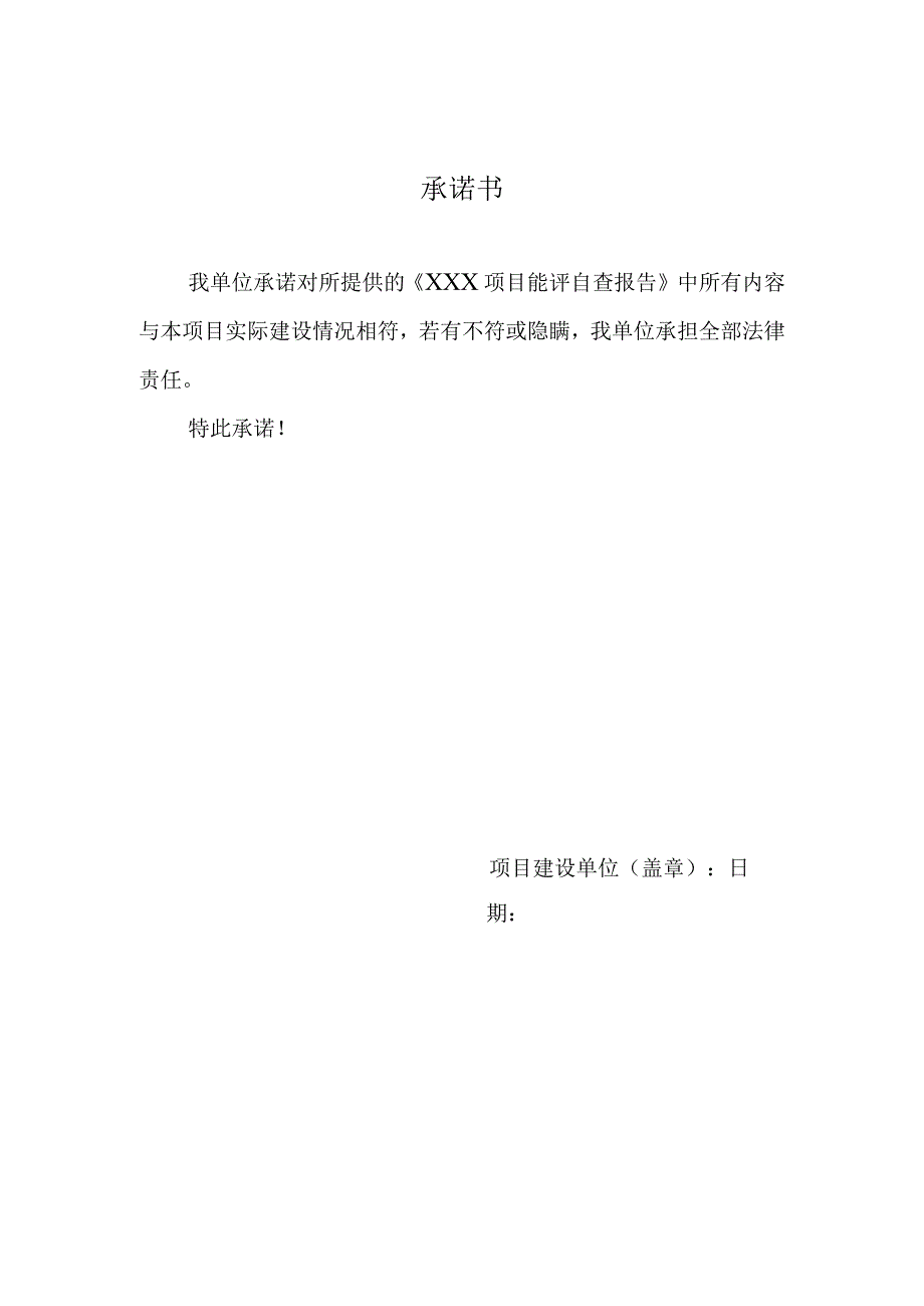 能评自查报告.docx_第2页