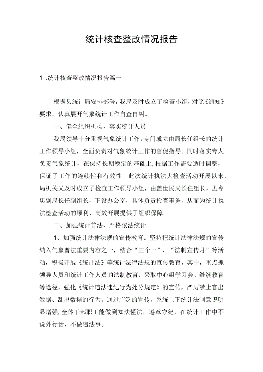 统计核查整改情况报告.docx_第1页