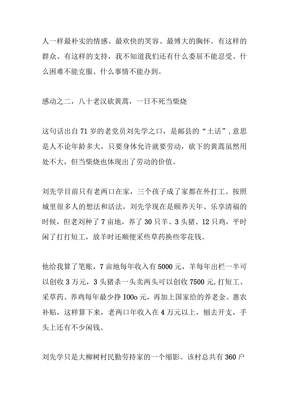 超火的XX县委书记驻村蹲点7000字调查报告.docx_第3页