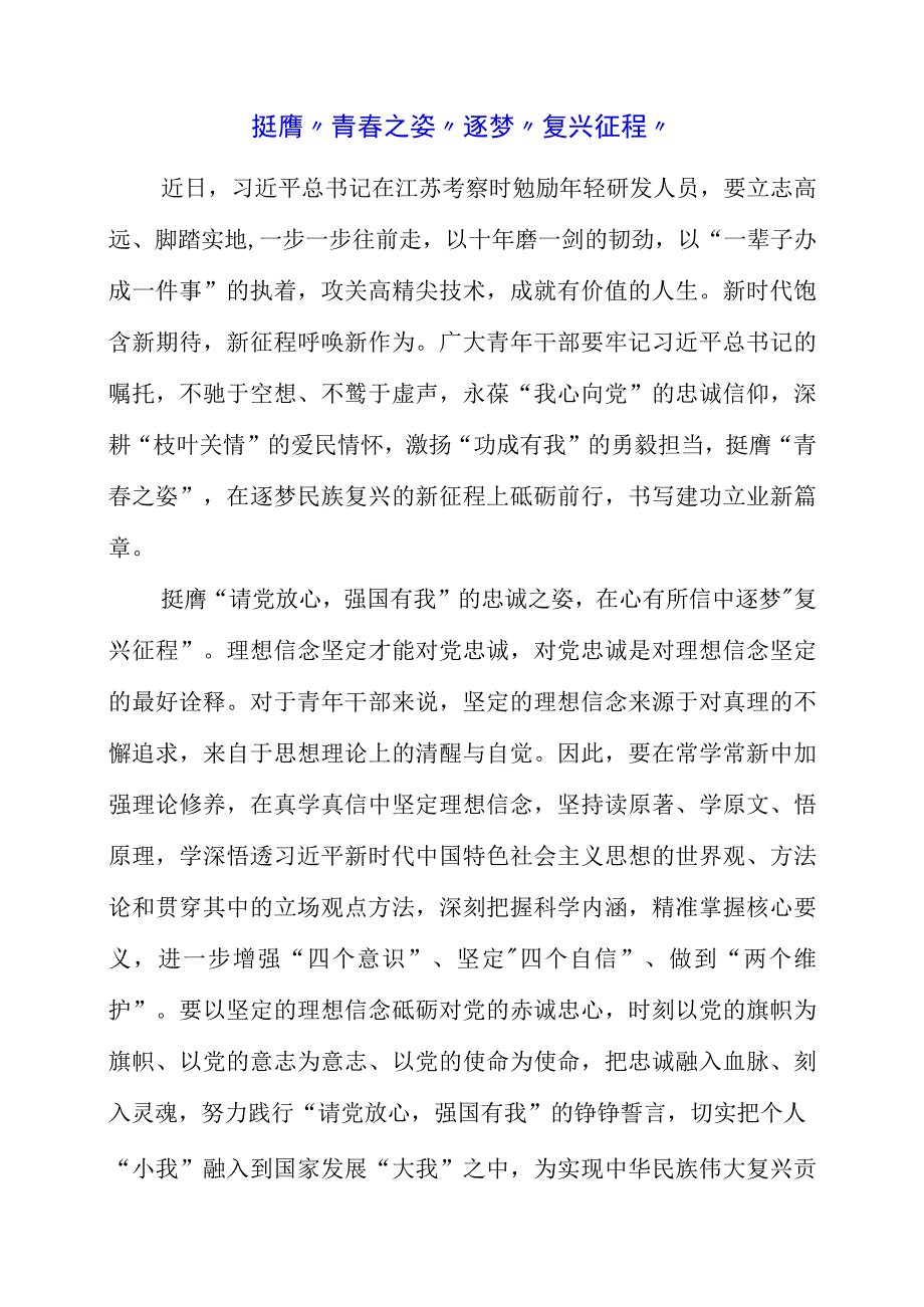 2023年专题党课材料：挺膺青春之姿 逐梦复兴征程.docx_第1页