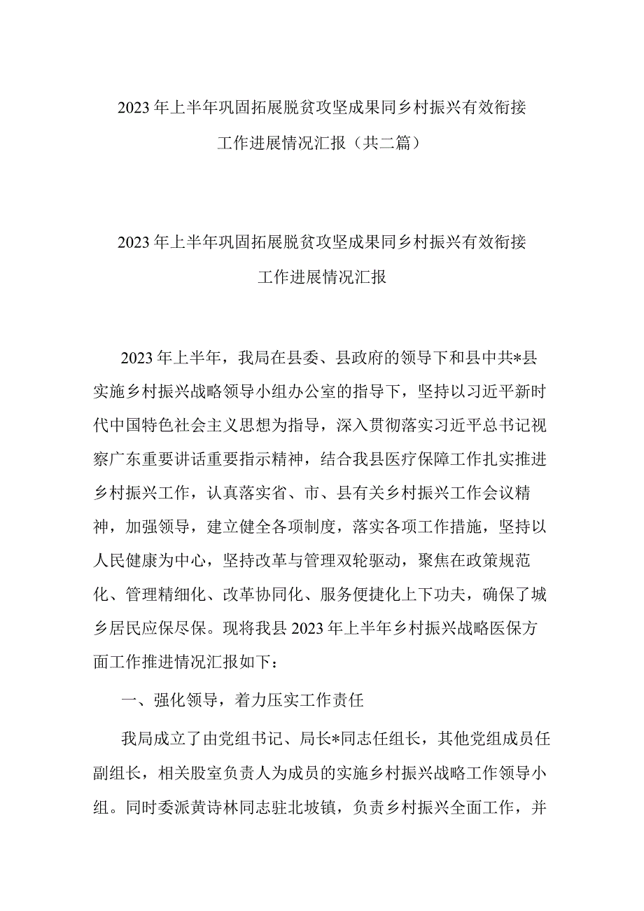 2023年上半年巩固拓展脱贫攻坚成果同乡村振兴有效衔接工作进展情况汇报共二篇.docx_第1页