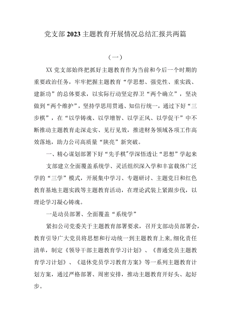 党支部2023主题教育开展情况总结汇报共两篇.docx_第1页