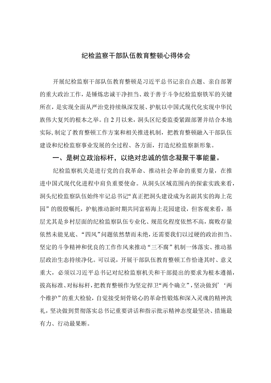 2023纪检监察干部队伍教育整顿心得体会范文通用精选10篇.docx_第1页