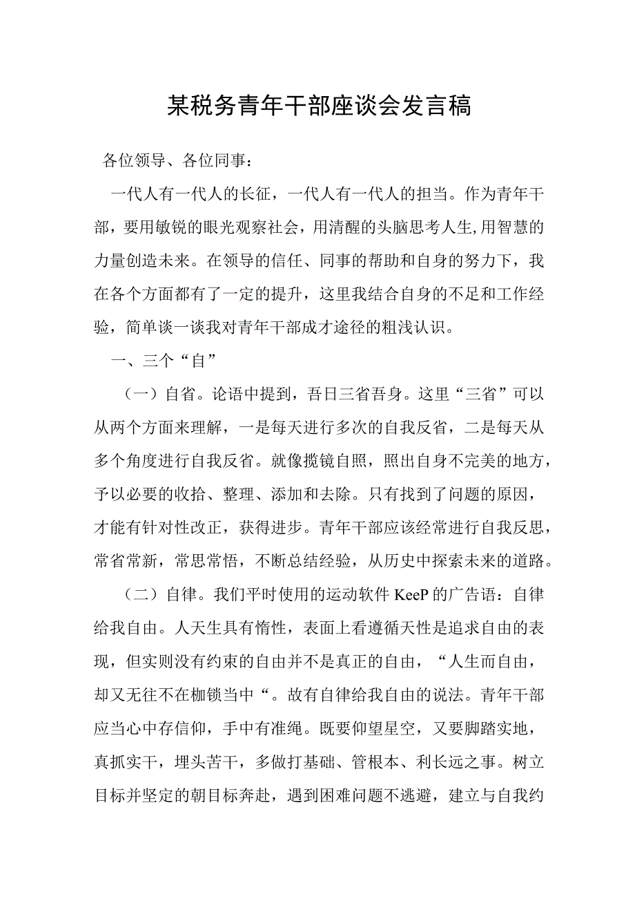 某税务青年干部座谈会发言稿.docx_第1页