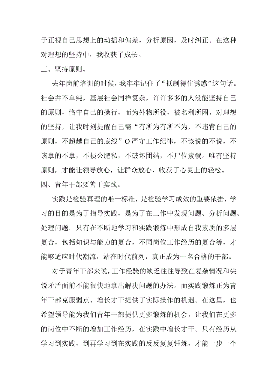 某税务青年干部座谈会发言稿.docx_第3页