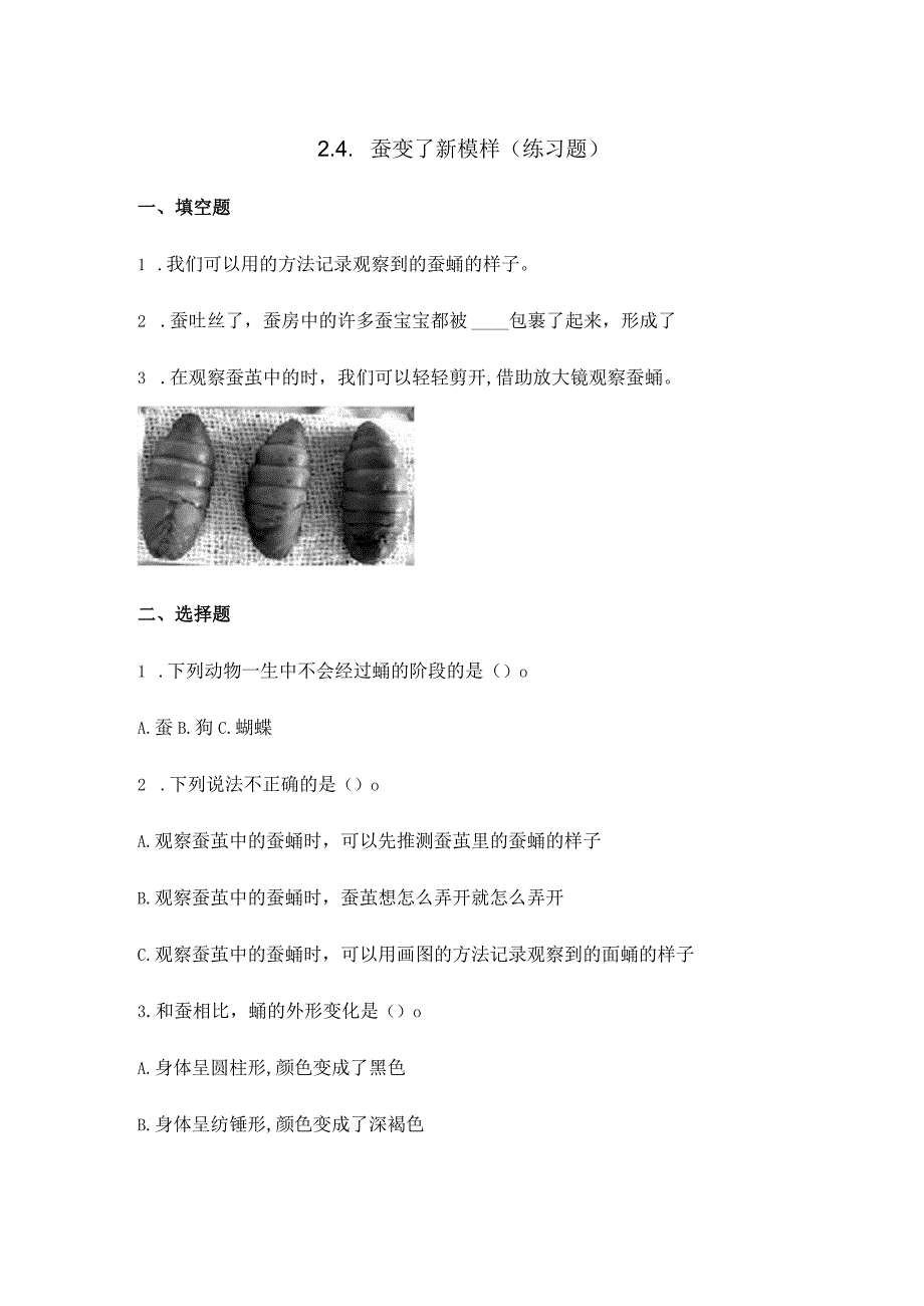 三下24蚕变了新模样练习题.docx_第1页