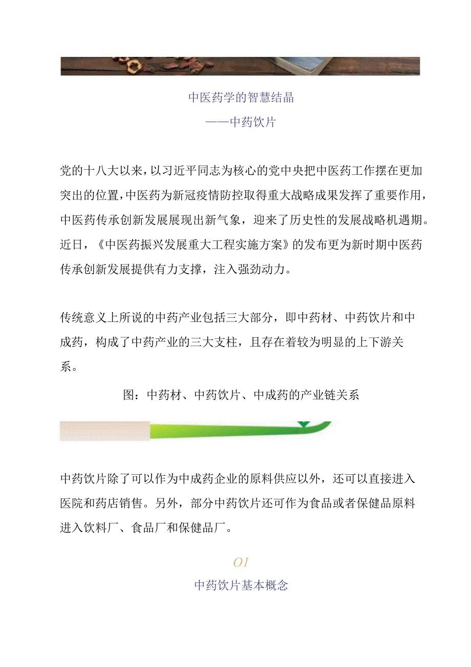 中医学之中药饮片调研分析.docx_第1页