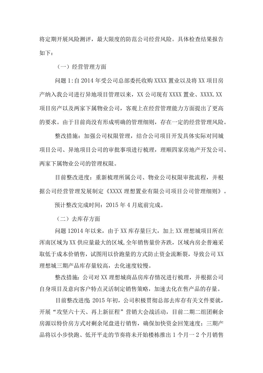 XX公司风险排查自查报告.docx_第2页